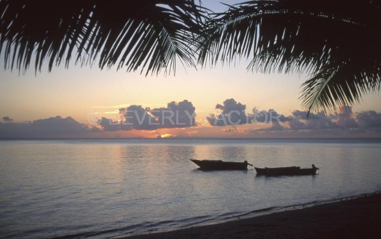 island;kadavu island fiji;sky;sunset;clouds;blue water;sun;yellow;water;boat;palm trees;sillouettes;blue;anchorages;ocean